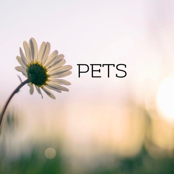 Other - Everything Pets!